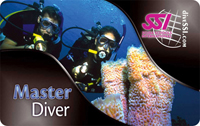 Master Diver