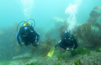 bautismo de buceo