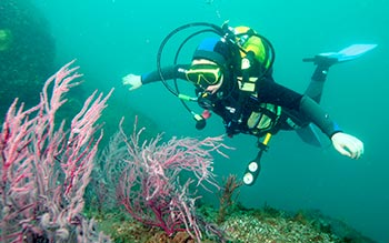 bautismo de buceo