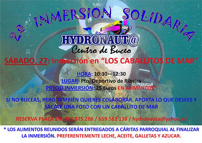 Inmersion solidaria