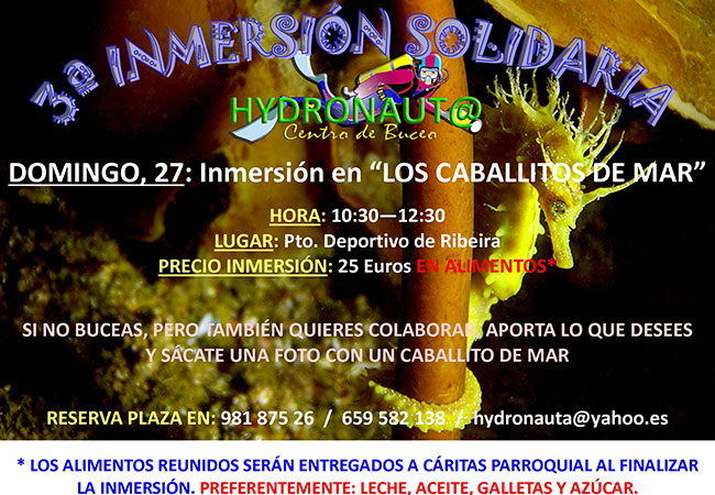 Inmersión solidaria